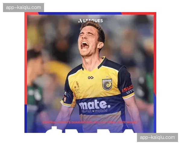 霍芬海姆赛季总结:高开低走,伤病潮击碎欧战梦想